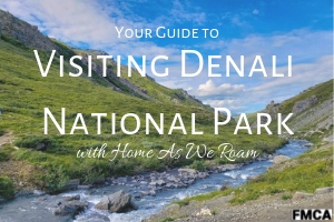 How to Visit Denali National Park: Practical Guide - Paula Pins