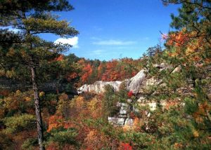 I-75 Daniel Boone Forest