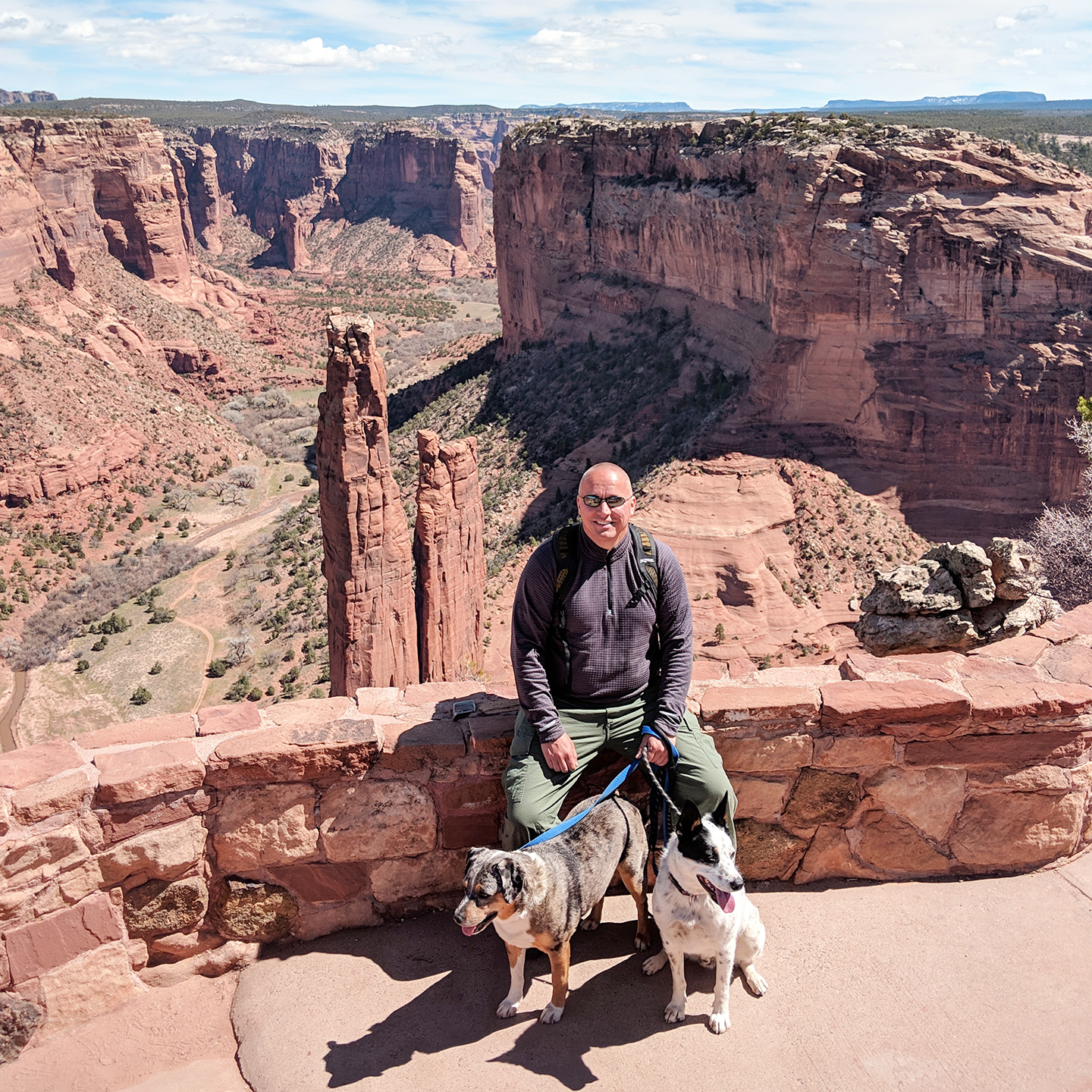 The dogs at Canyon de Chelly