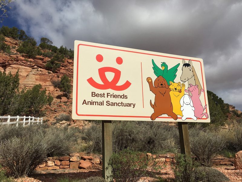Best Friends Animal Sanctuary in Utah