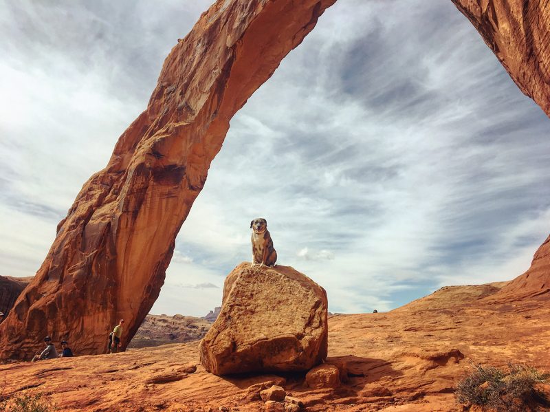 Dog adventures in Utah at the Corona Arch