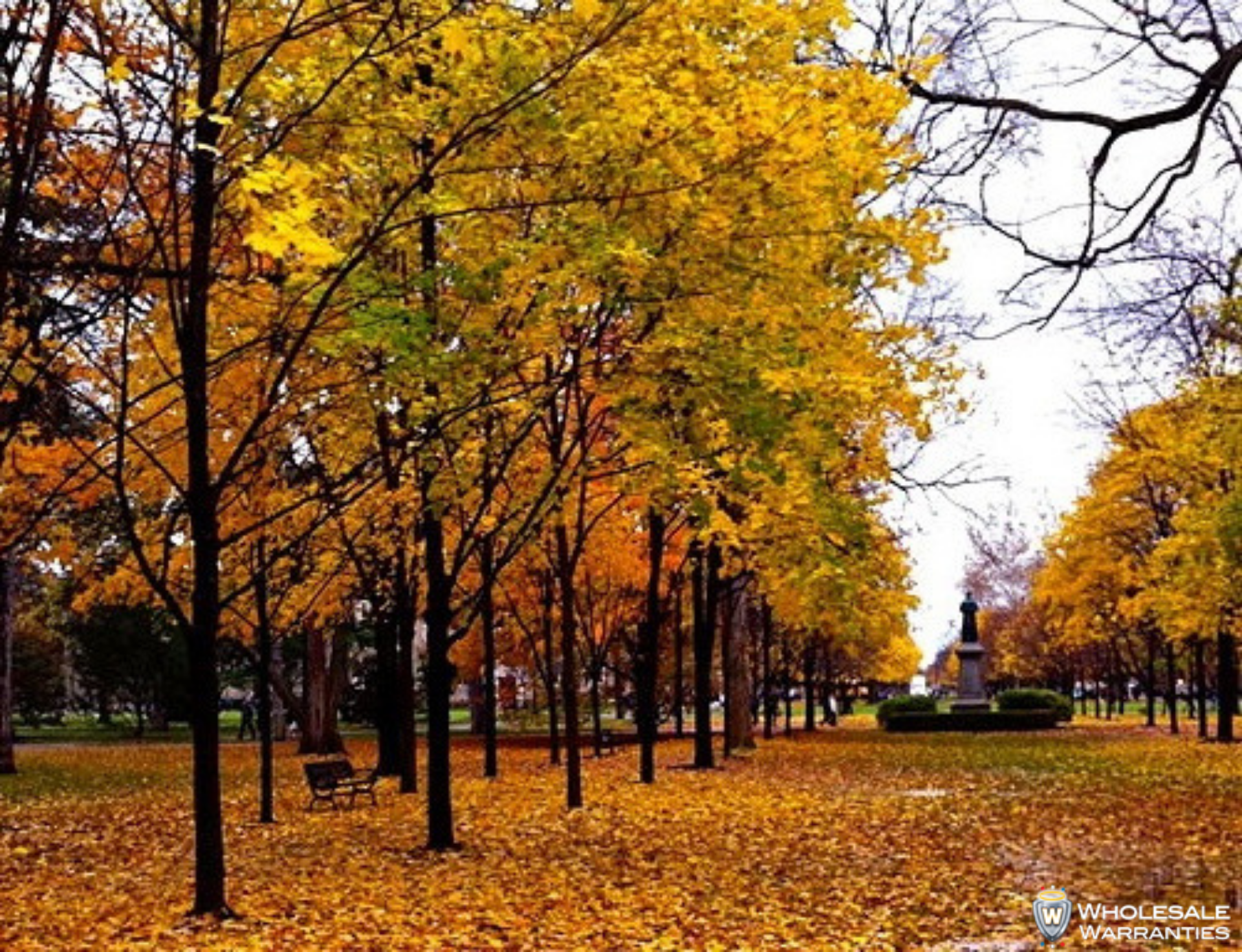 Changing leaves at University of Notre Dame