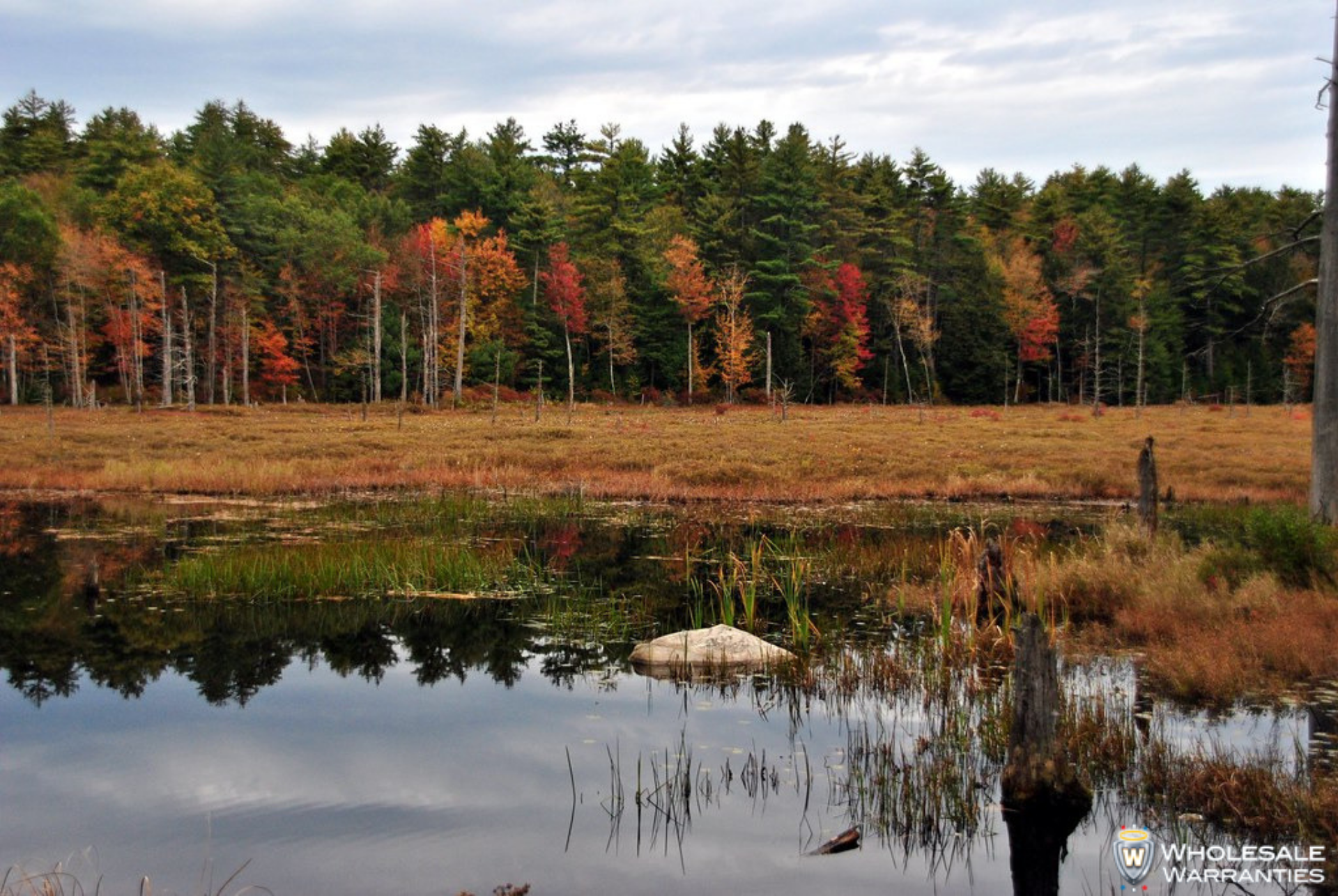 Pawtuckaway State Park, New Hampshire