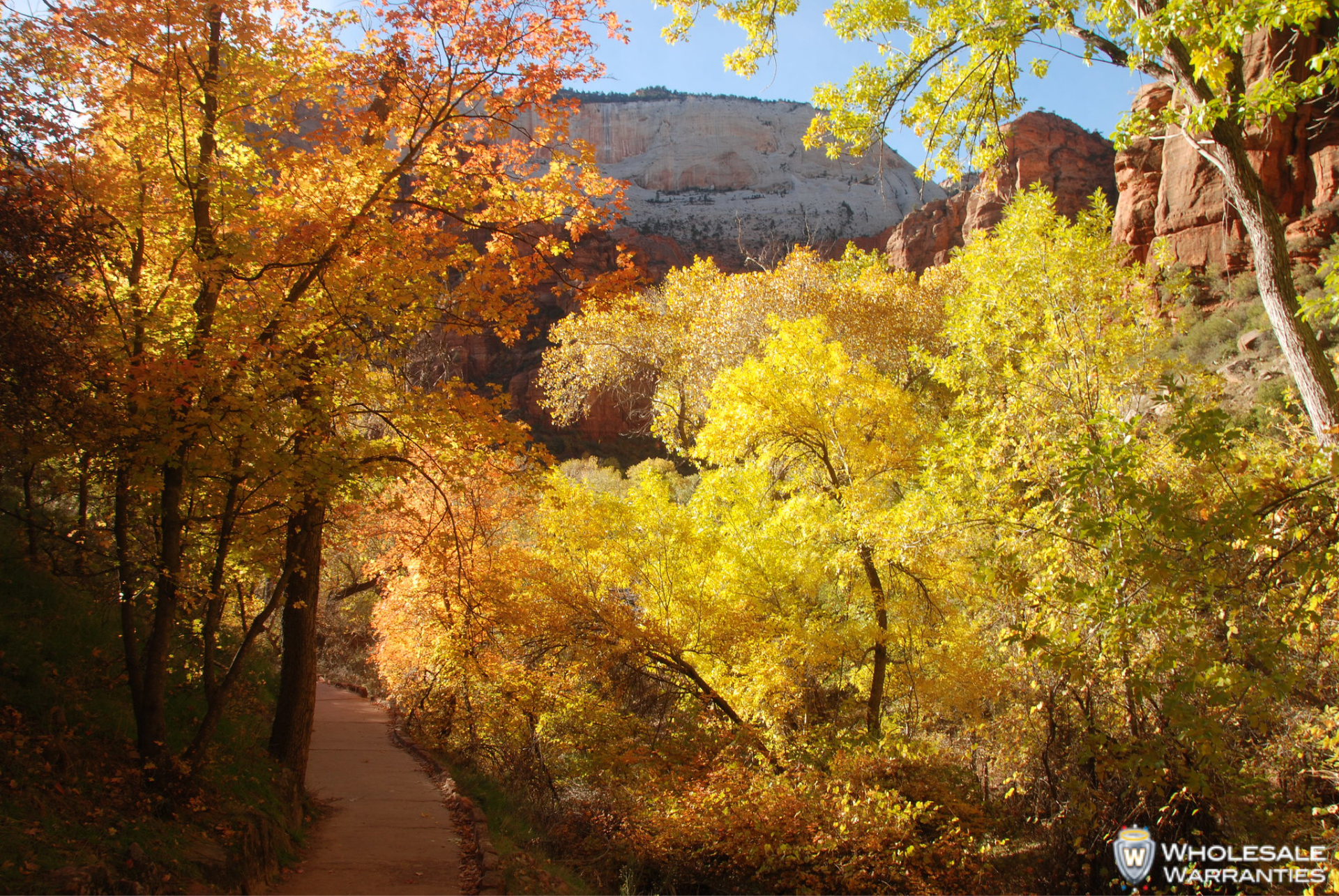 Fall foliage colors in Zion National Park in Utah