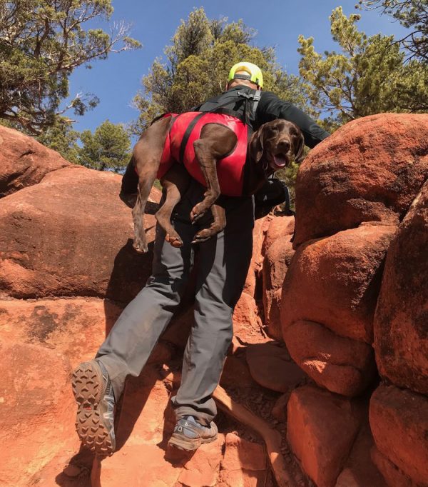 This dog carrier is an excellent gift idea