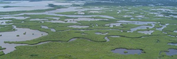 everglades national park