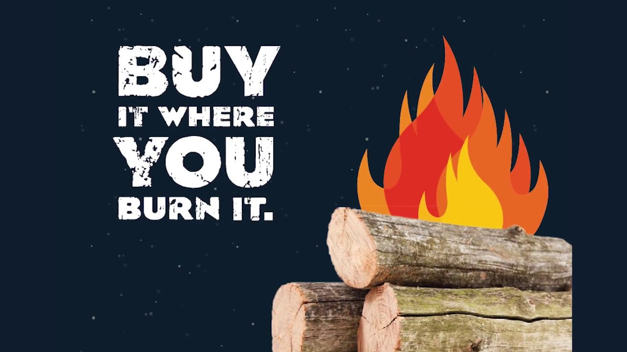 to lower the risk of invasive species, burn it where you buy it.