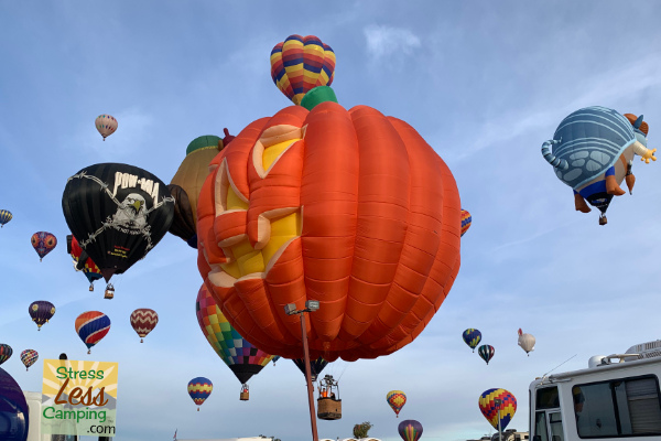 can u take dogs into balloon festival