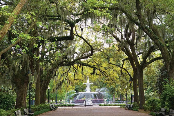 savannah fountain