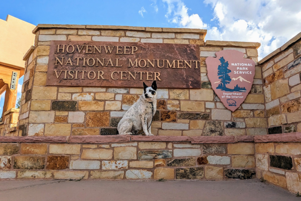 are dogs allowed at four corners national monument