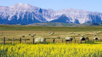 Where to travel in an RV along Alberta's scenic Cowboy Trail Nalidsa via Shutterstock