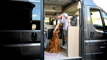 best RV pet monitors for dogs