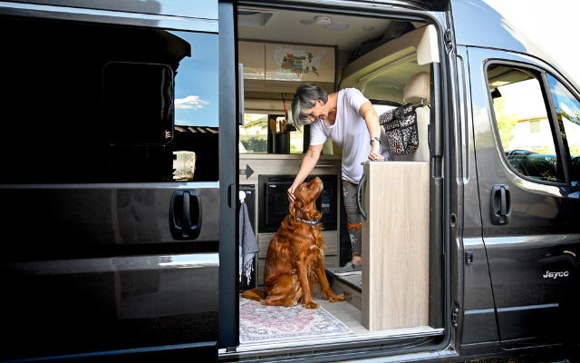 best RV pet monitors for dogs