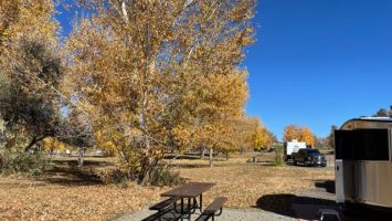 Airstream Basecamp in a campground in fall.