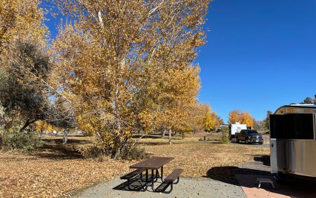 Airstream Basecamp in a campground in fall.